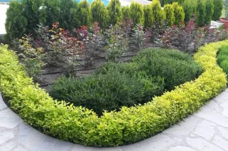 Къща Мимоска